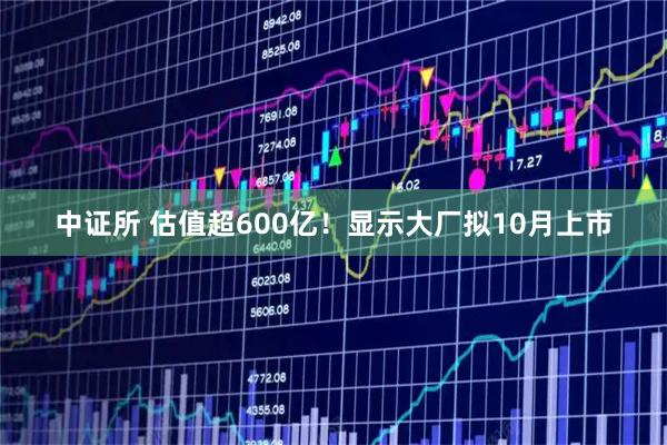 中证所 估值超600亿！显示大厂拟10月上市